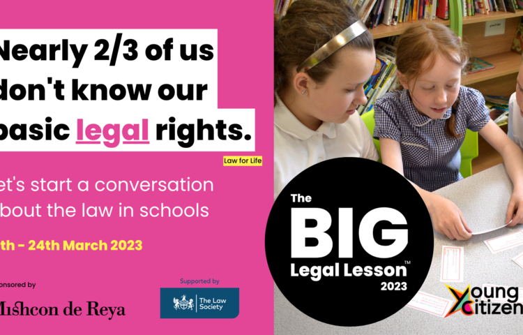 Image of The Big Legal Lesson